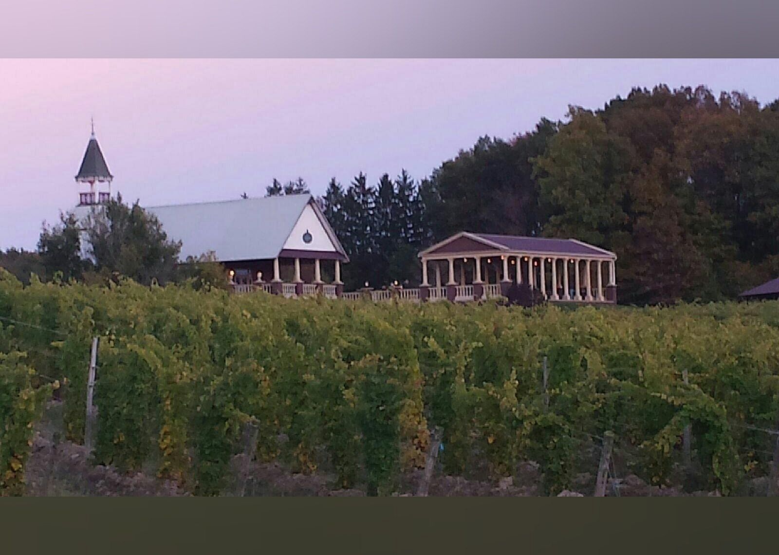 #12. South River Vineyard