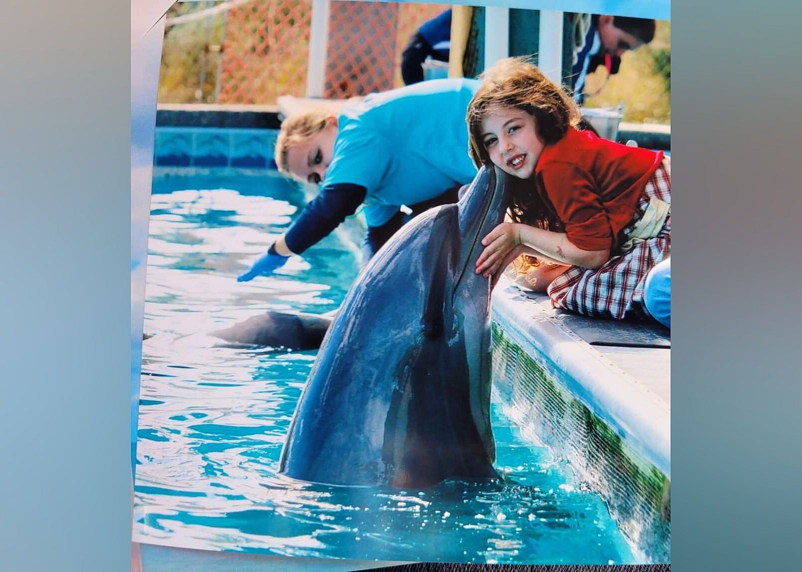 #11. The Institute for Marine Mammal Studies