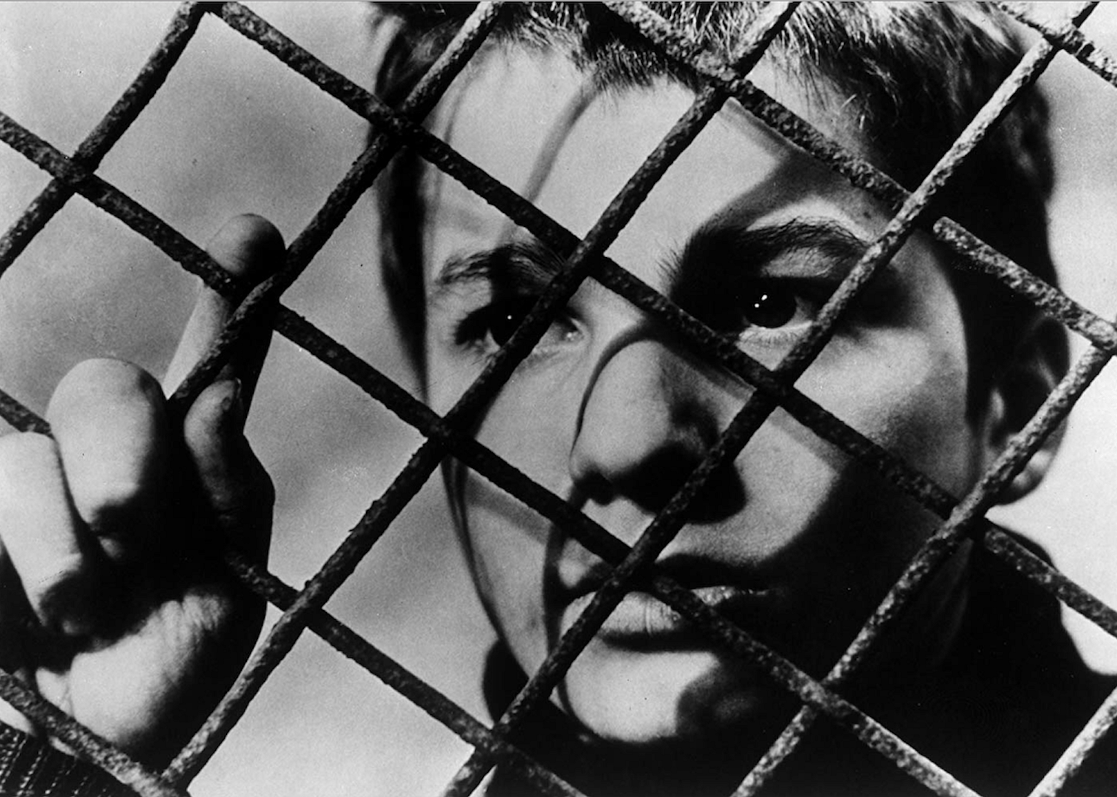 #8. The 400 Blows (1959)