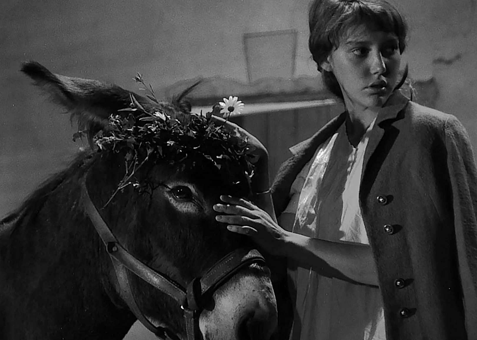 #52. Au Hasard Balthazar (1966)