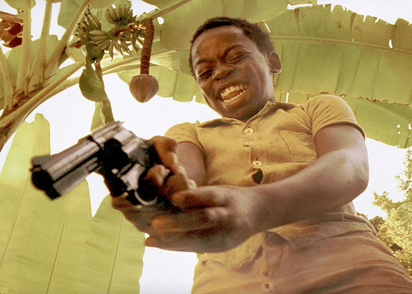 #42. City of God (2002)