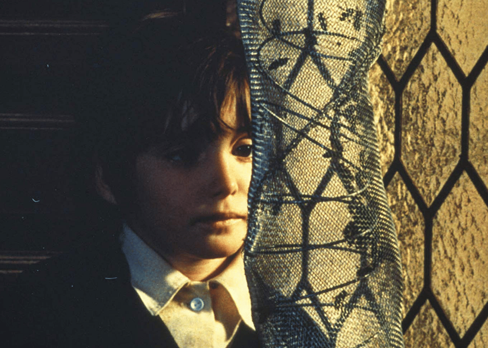 #27. The Spirit of the Beehive (1973)