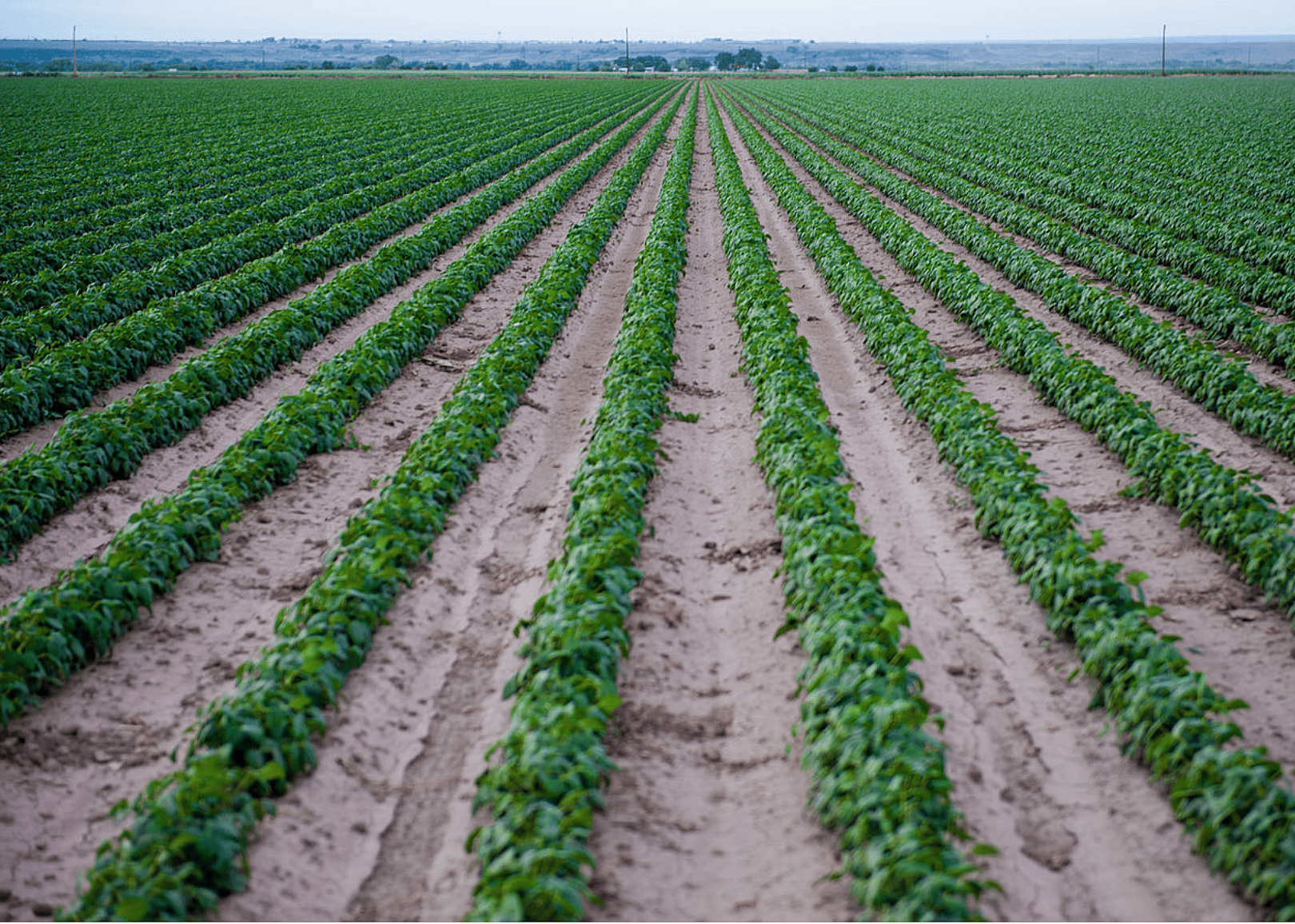#13. Oklahoma