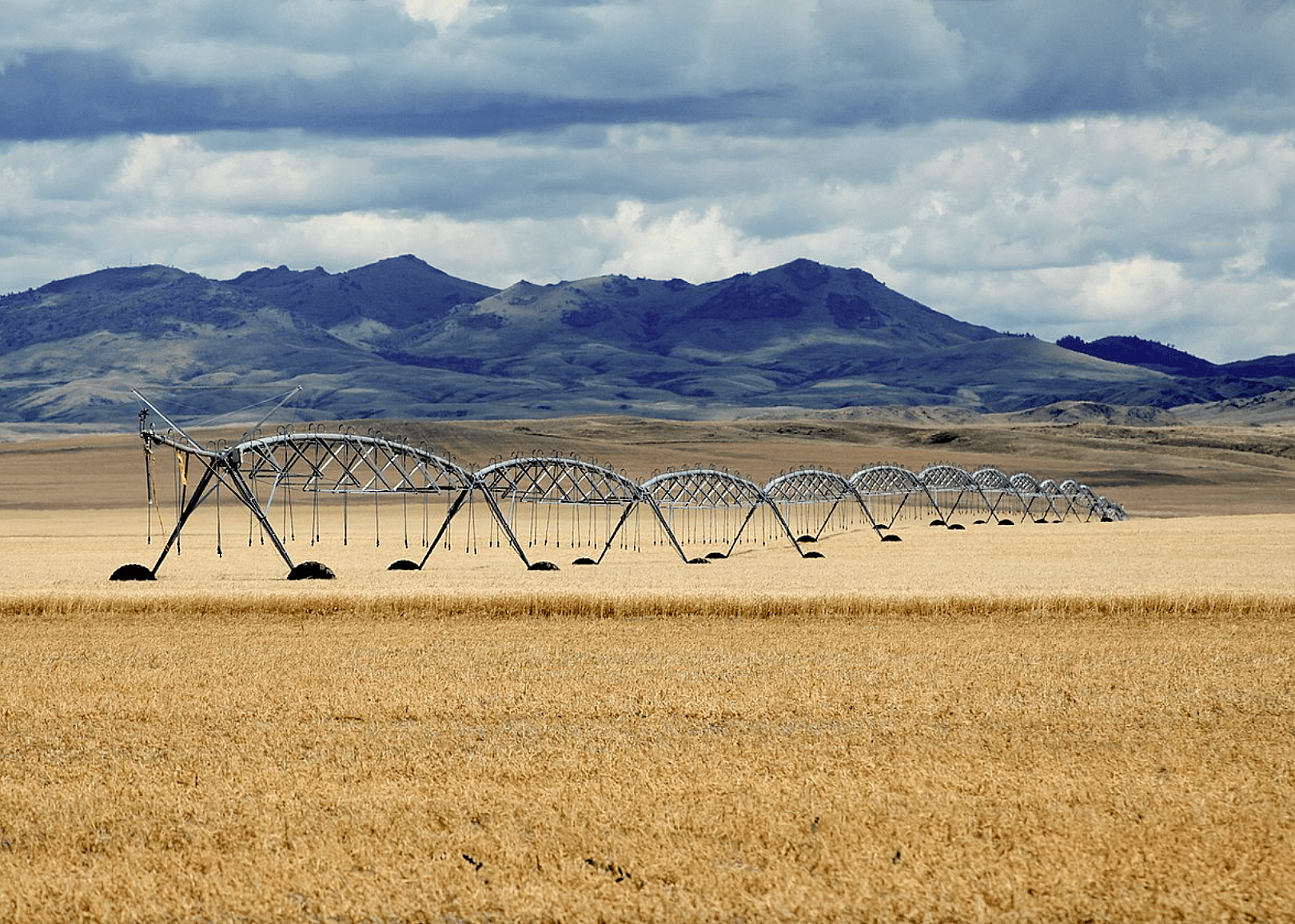 #26. Montana