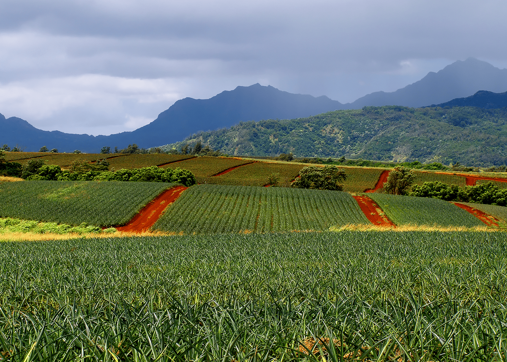 #4. Hawaii