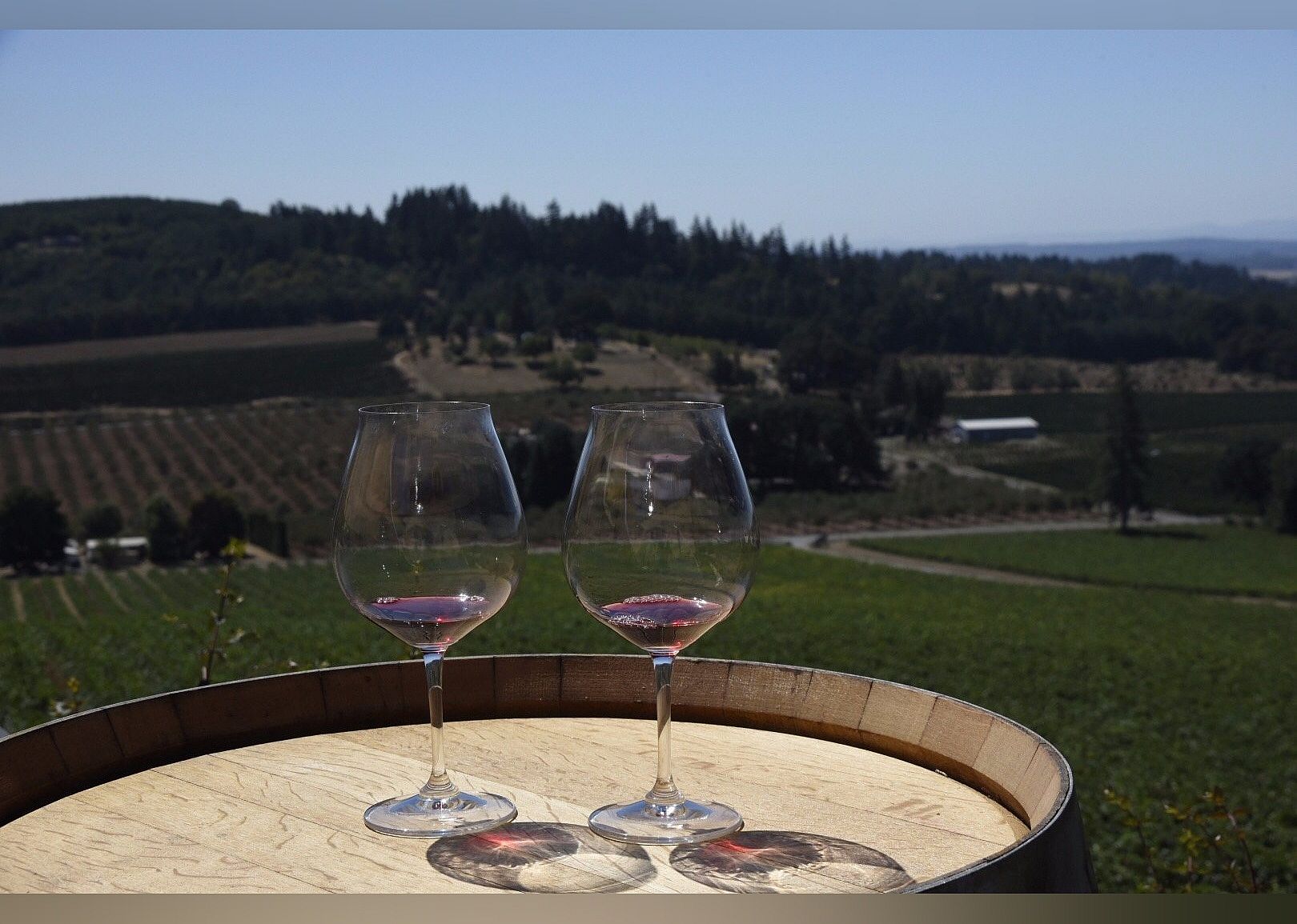 #25. Willamette Valley Vineyards