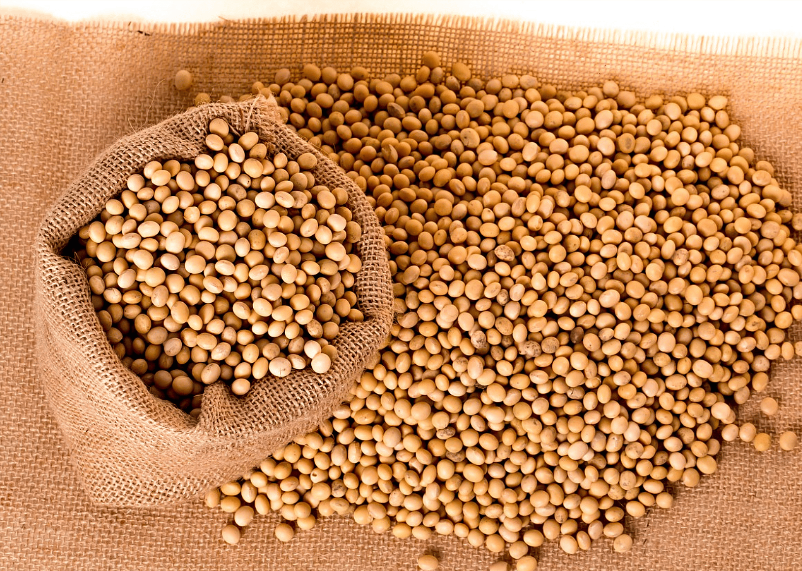 Soybeans