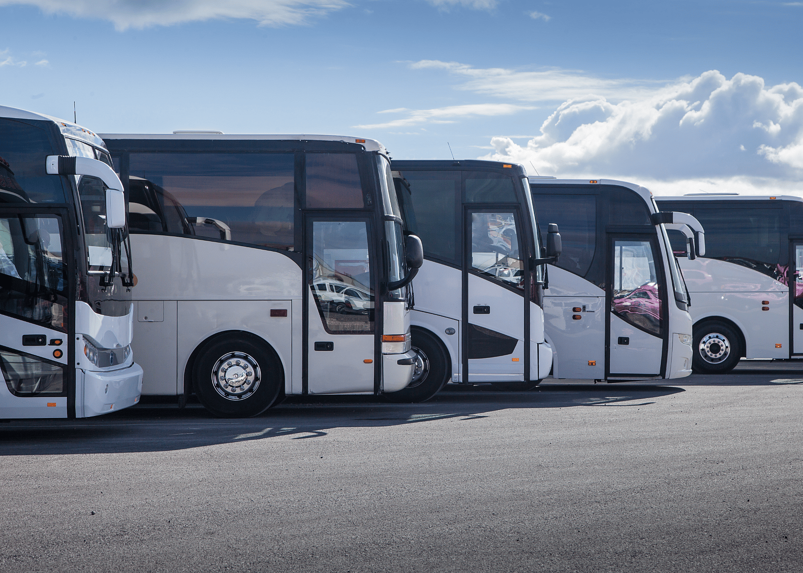 Trucks, buses, and special purpose vehicles