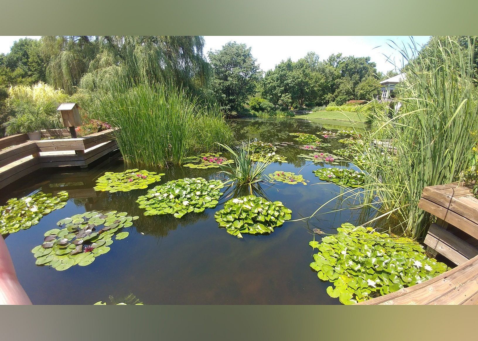 #10. Botanica: The Wichita Gardens