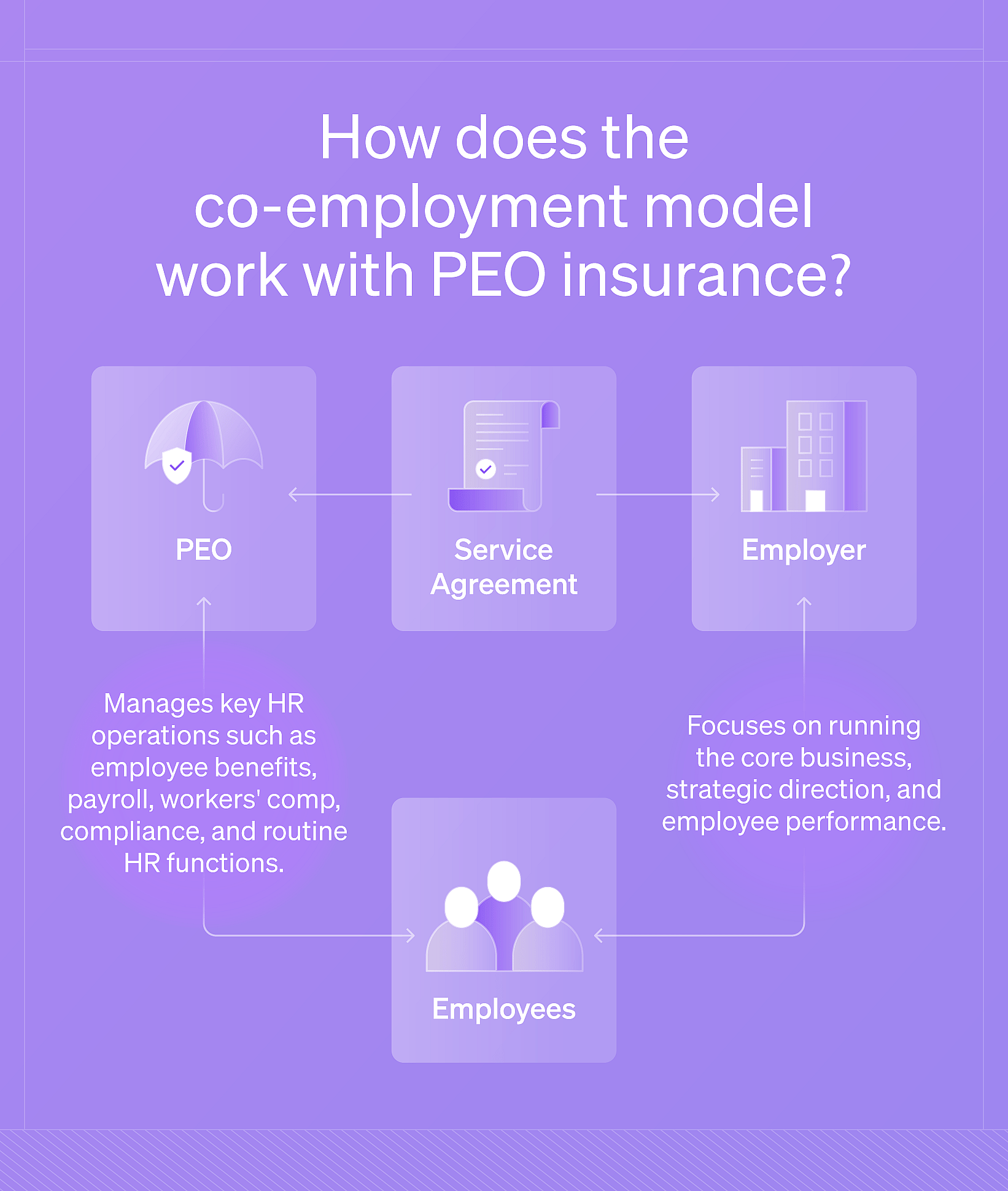 Infographic explaining how does the co-employment model with PEO insurance.