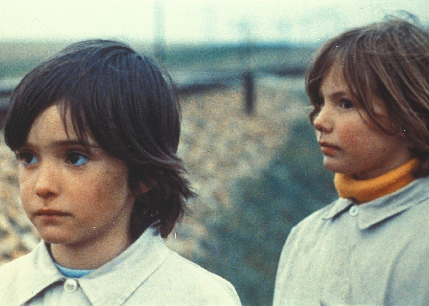 #15. The Spirit of the Beehive (1973)