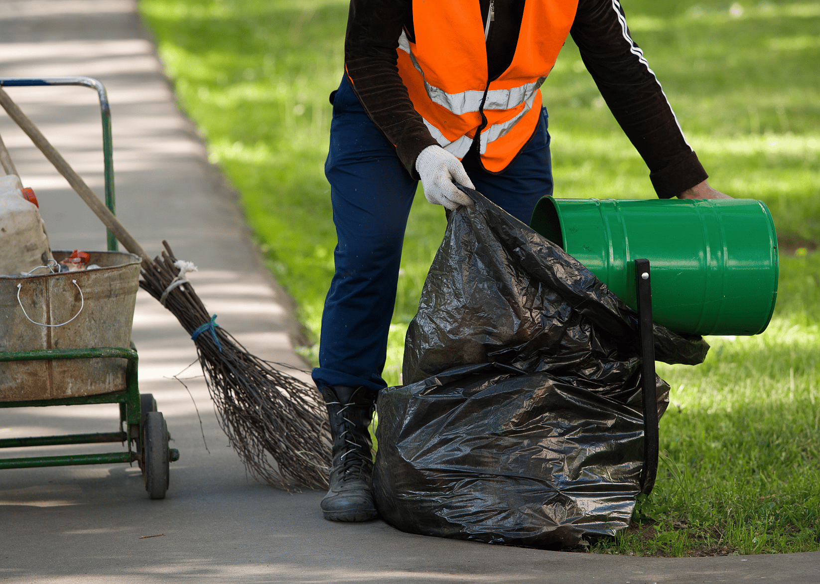 #6. Administrative and support and waste management and remediation services