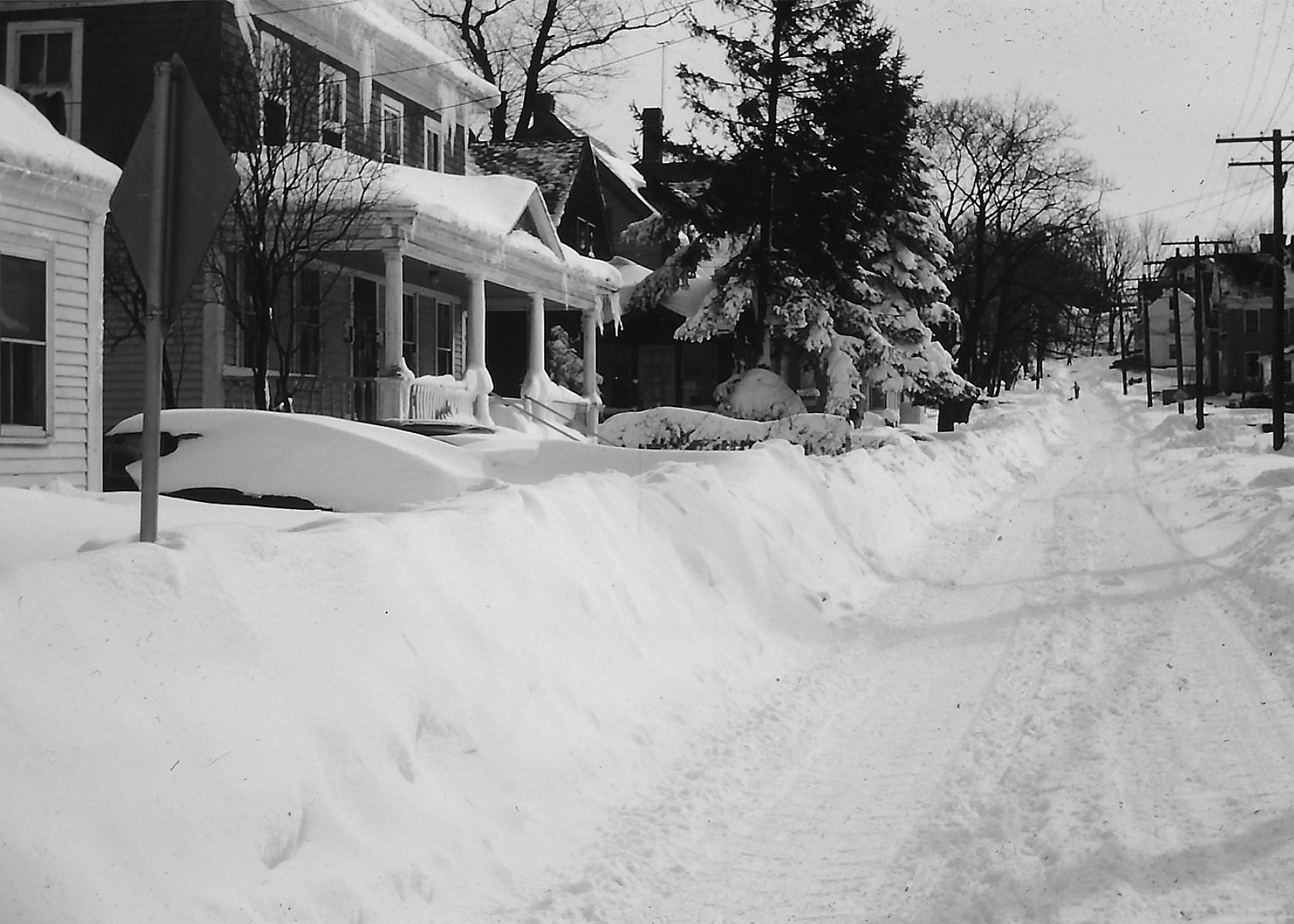 1959: Mount Shasta Snowstorm