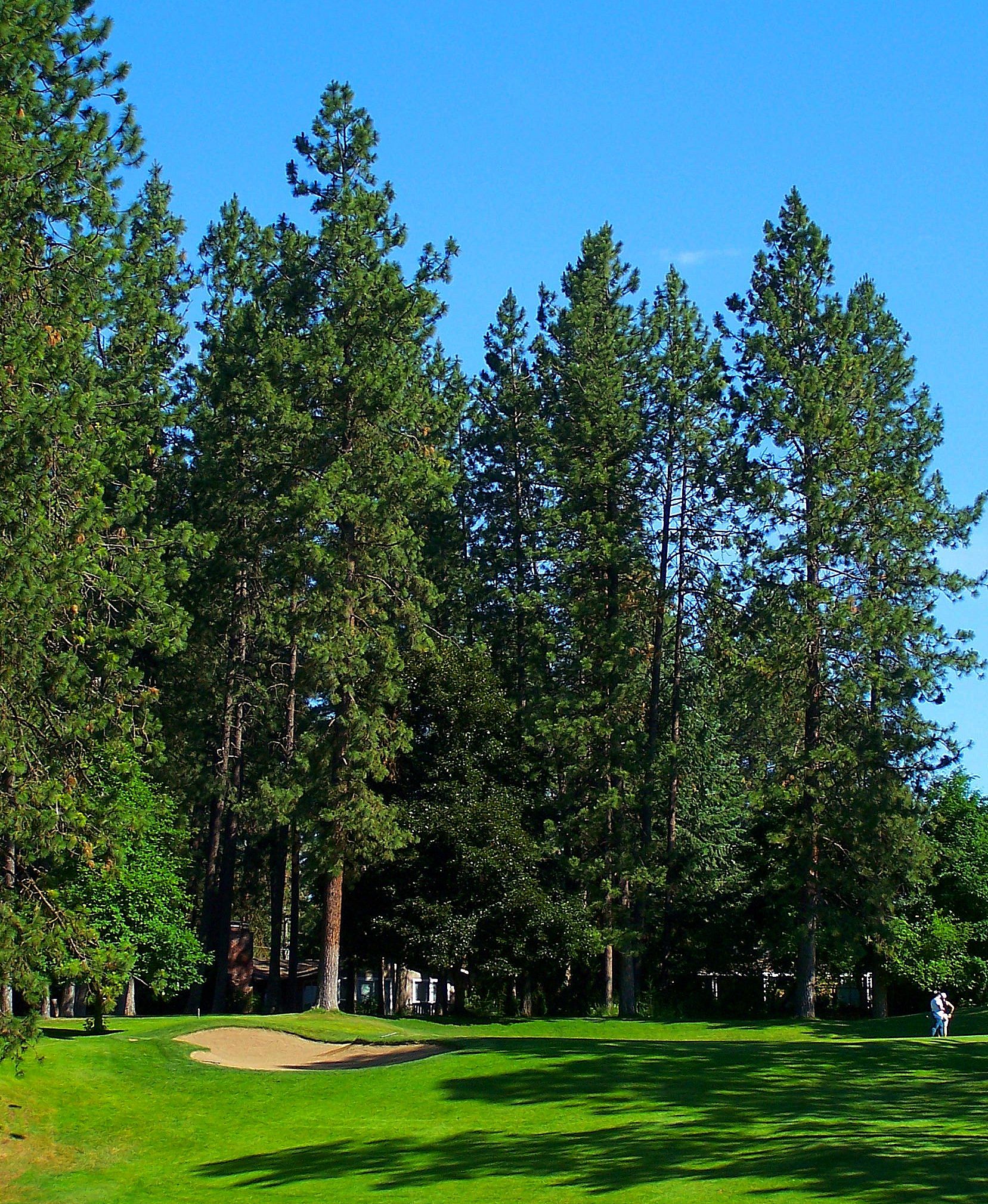 #21. Coeur d' Alene Public Golf Club