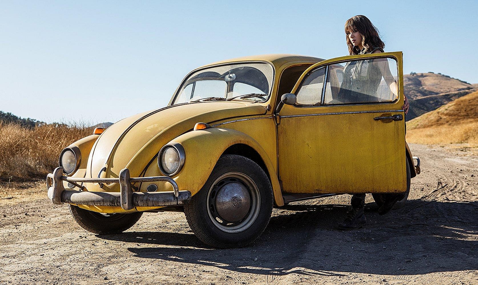 #27. Bumblebee