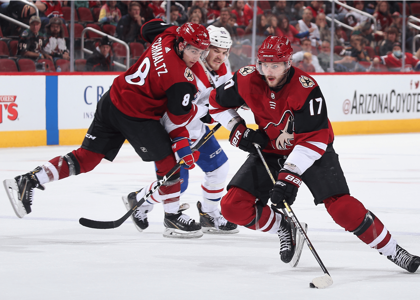 Arizona Coyotes