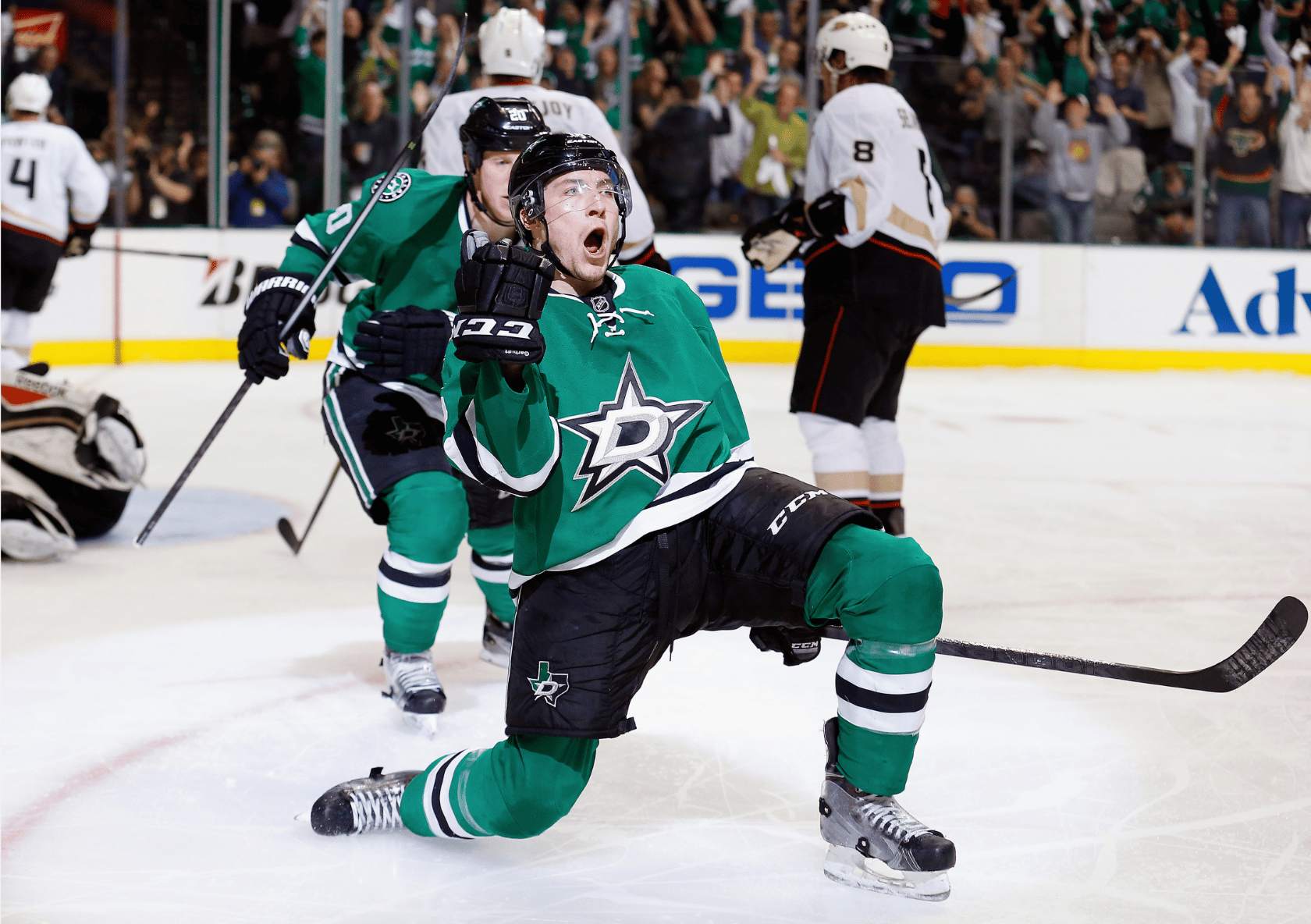 Dallas Stars