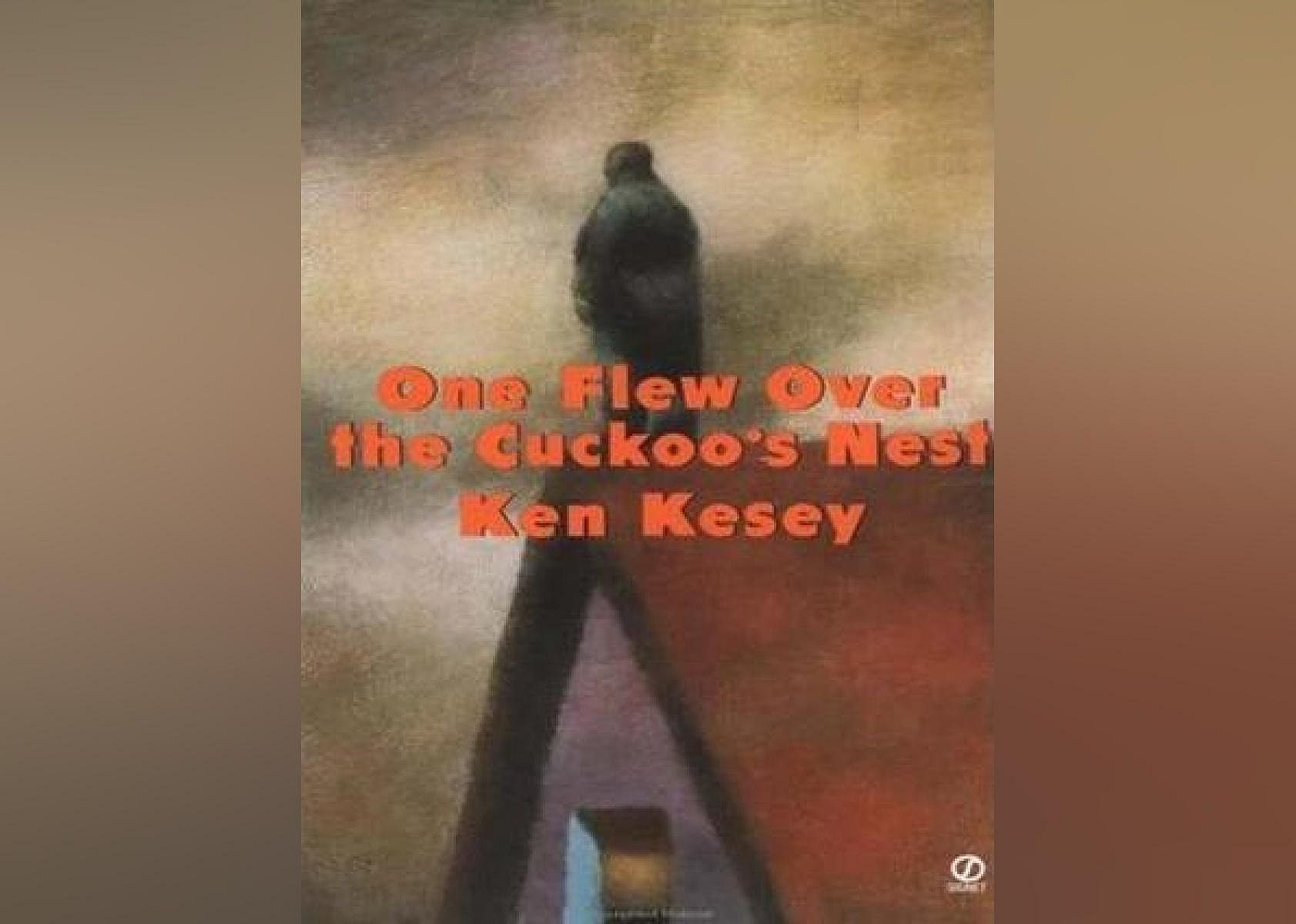 The illustrated cover shows a blurry image of a dark figure on the peak of a roof surrounded by a dark and cloudy sky. 