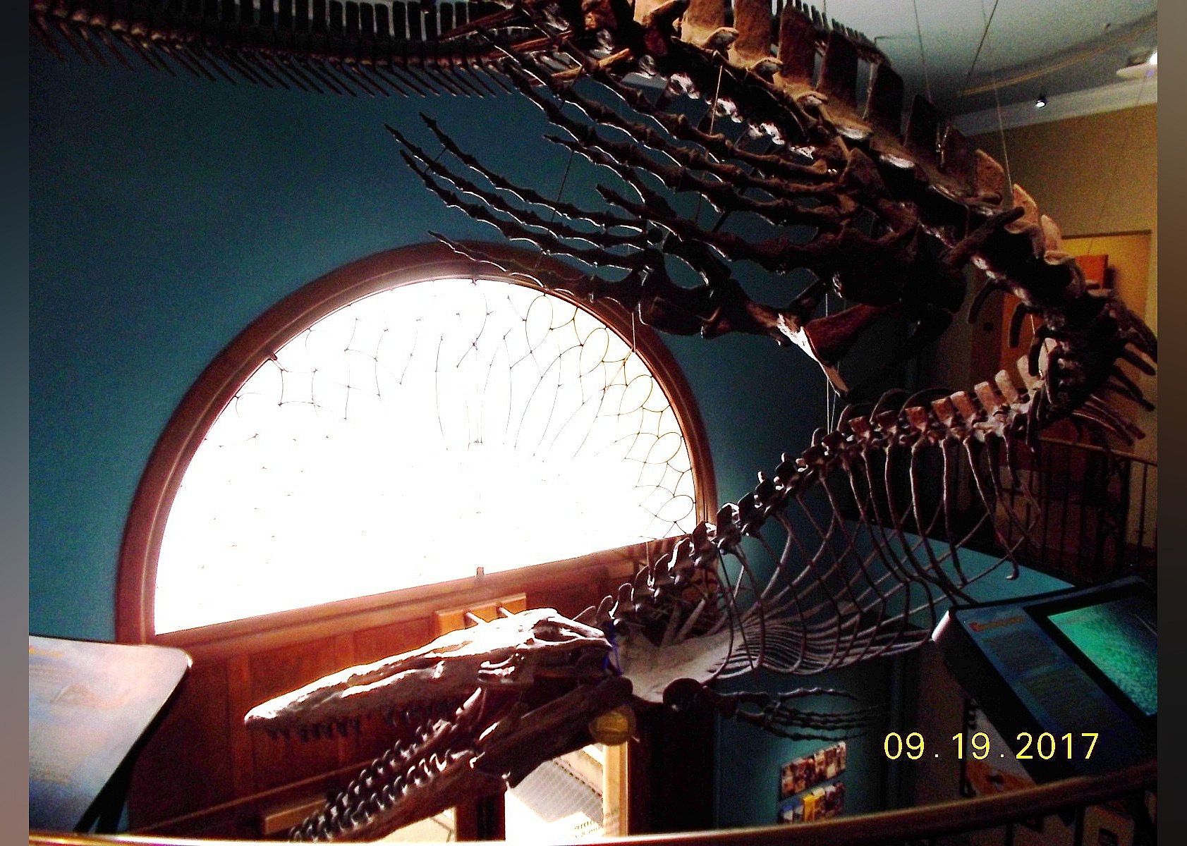 #22. Biodiversity Institute and Natural History Museum
