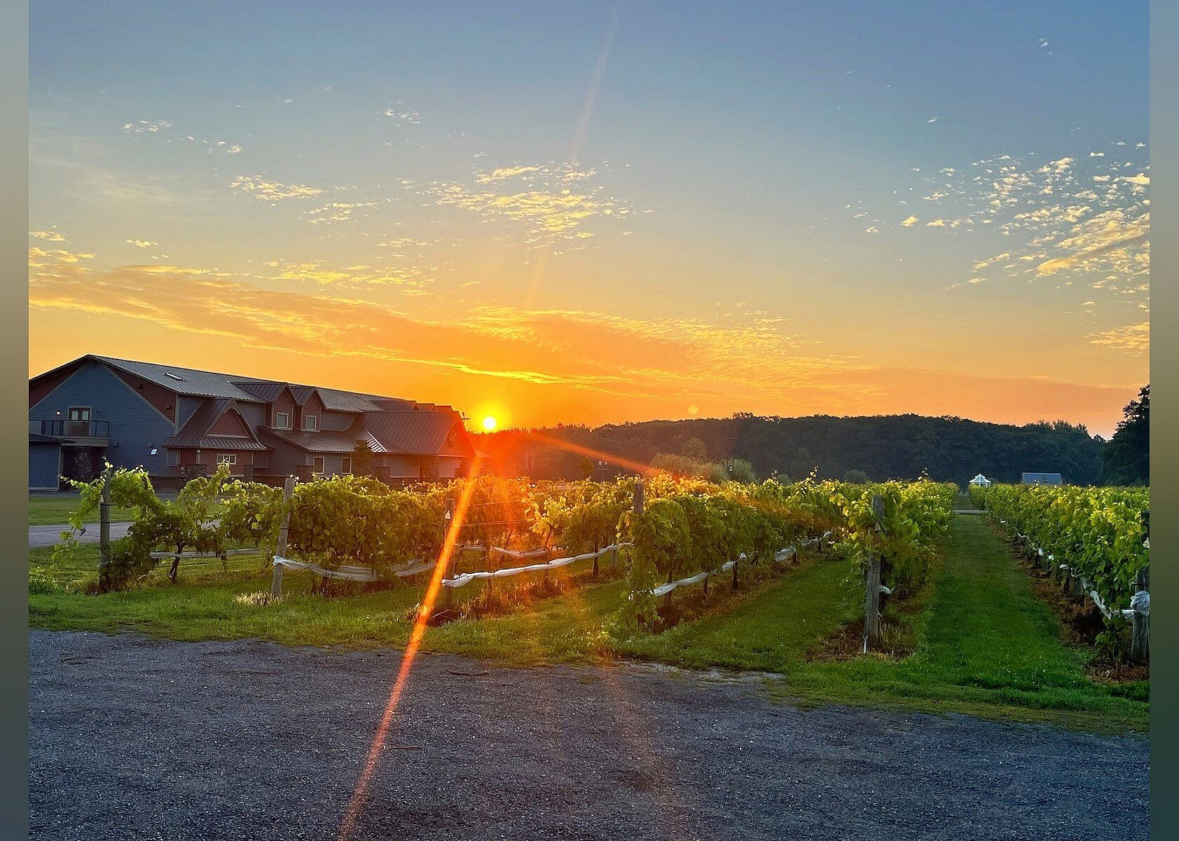 #17. Dancing Dragonfly Winery
