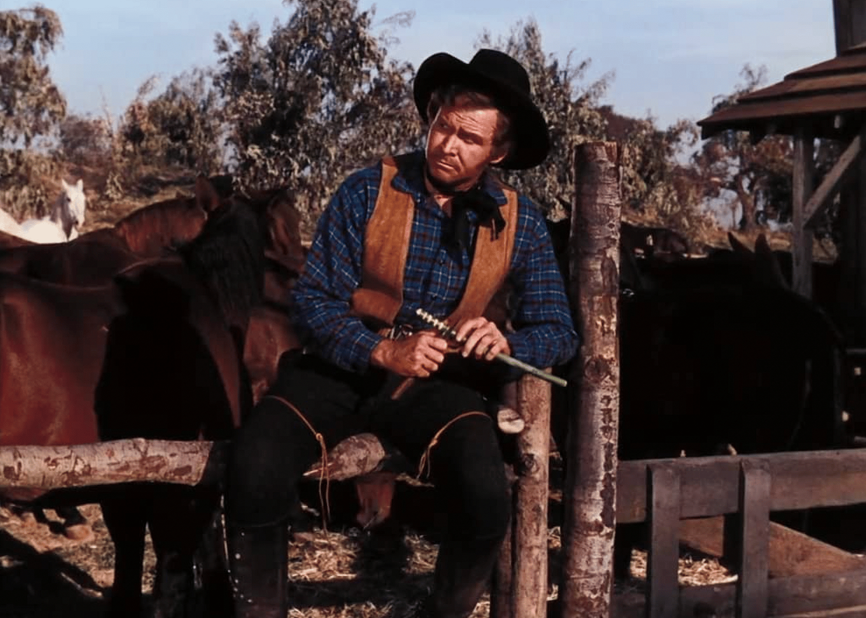 #35. Western Union (1941)