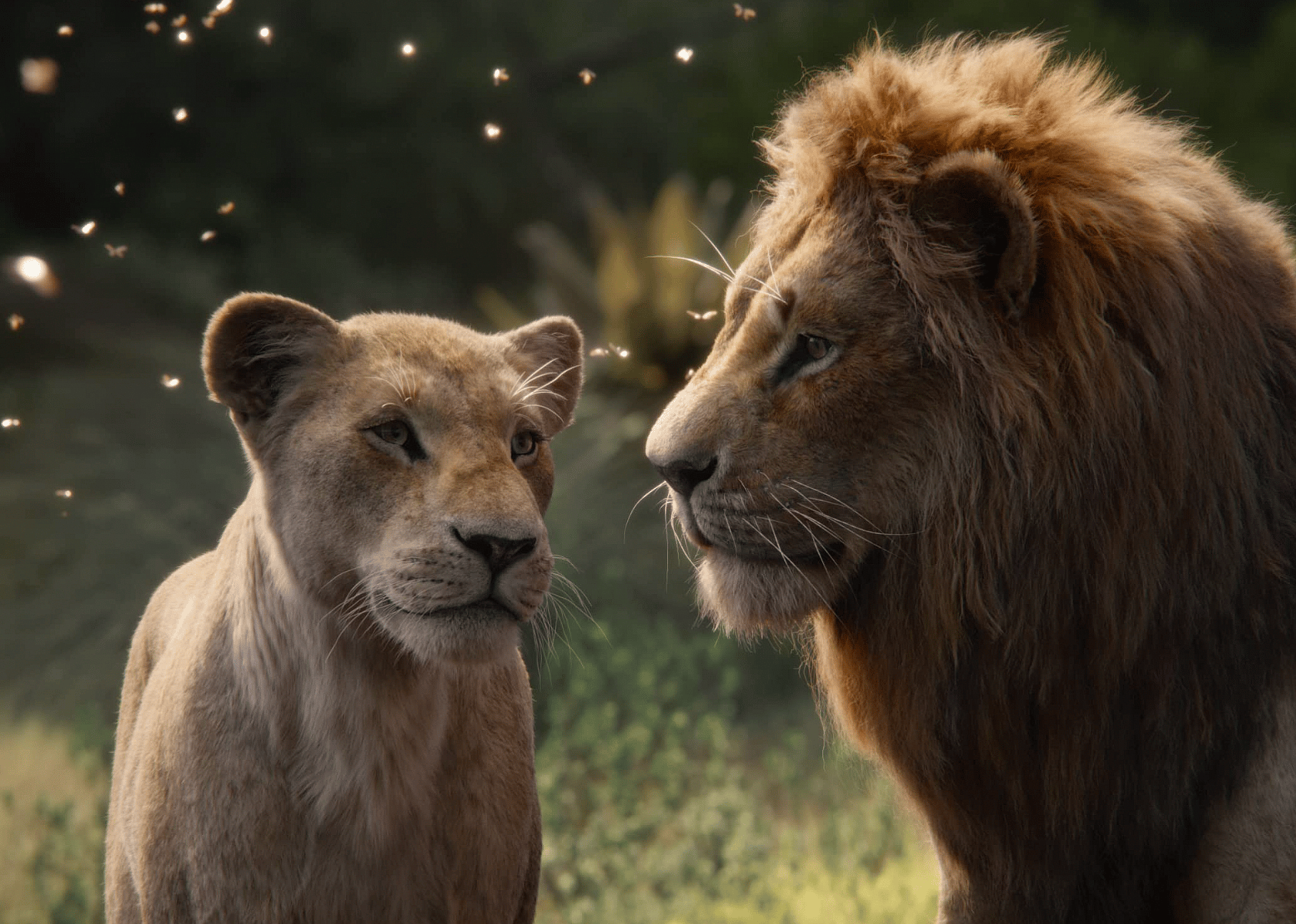 Beyoncé and Donald Glover in "The Lion King".