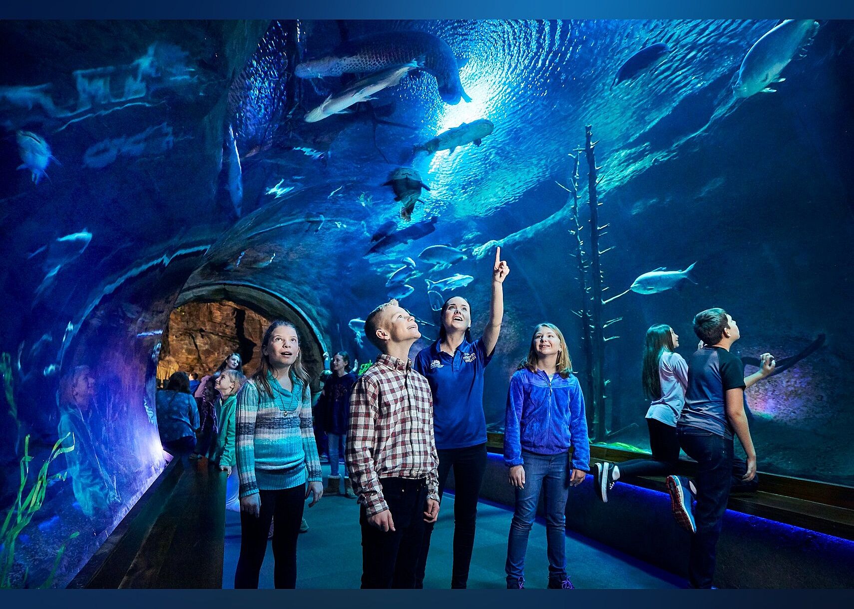 #27. Johnny Morris' Wonders of Wildlife National Museum and Aquarium