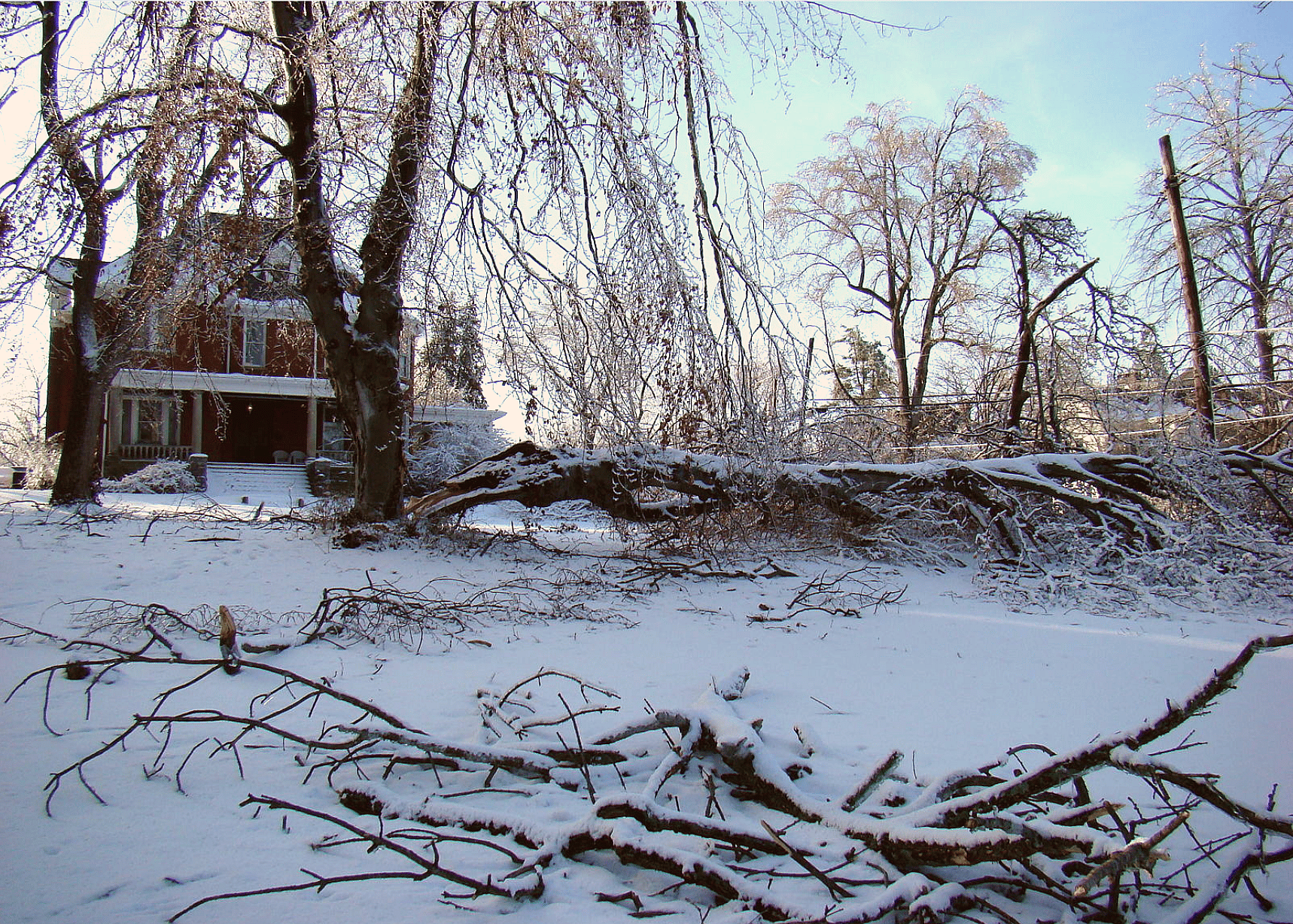 2010: Snowmaggedon in Washington D.C.