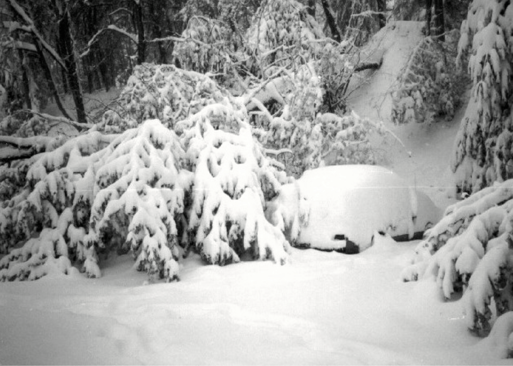 1994: Southeast ice storm