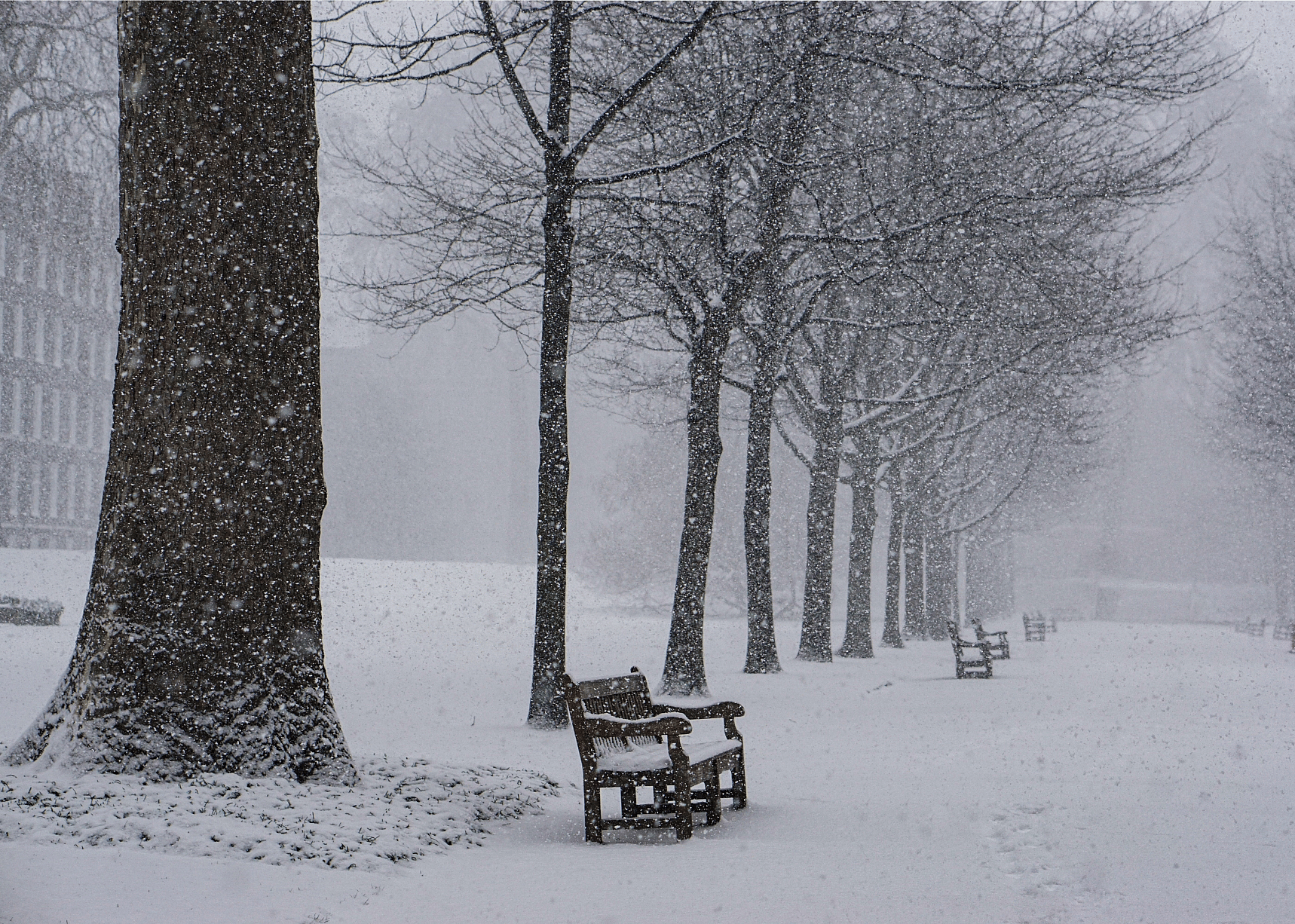1991: Ice storm in Rochester, New York