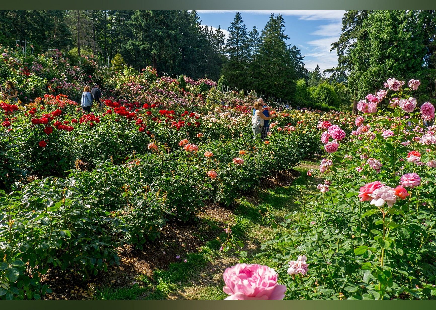 #2. International Rose Test Garden