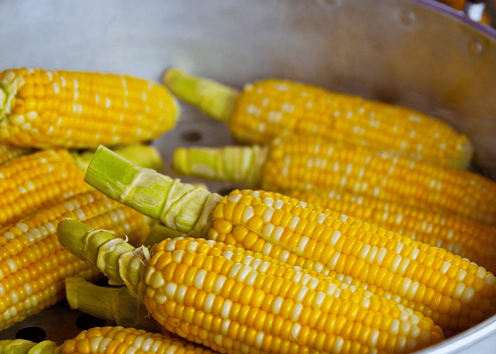 Corn