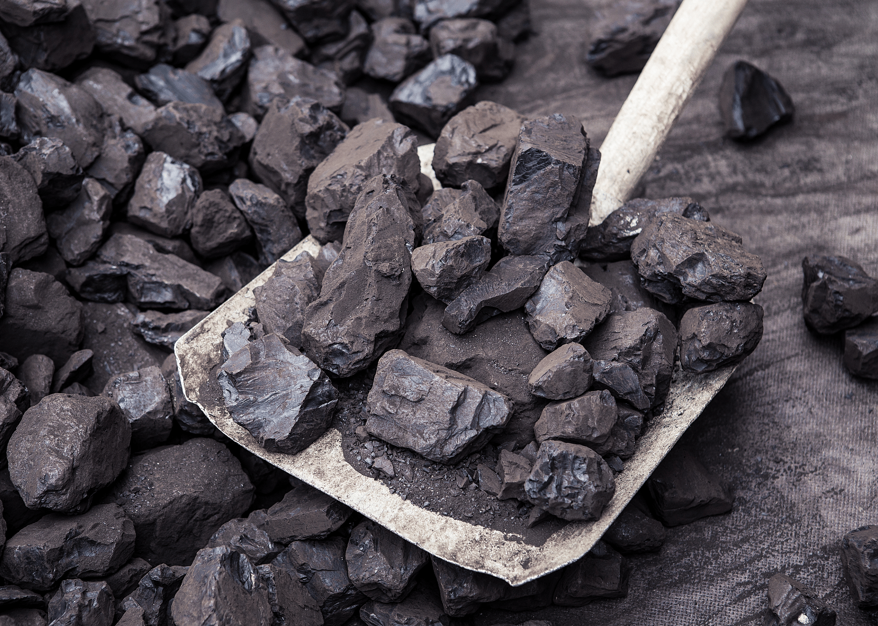 Metallurgical grade coal