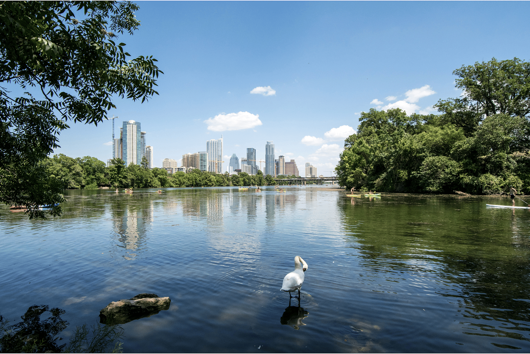 #24. Texas