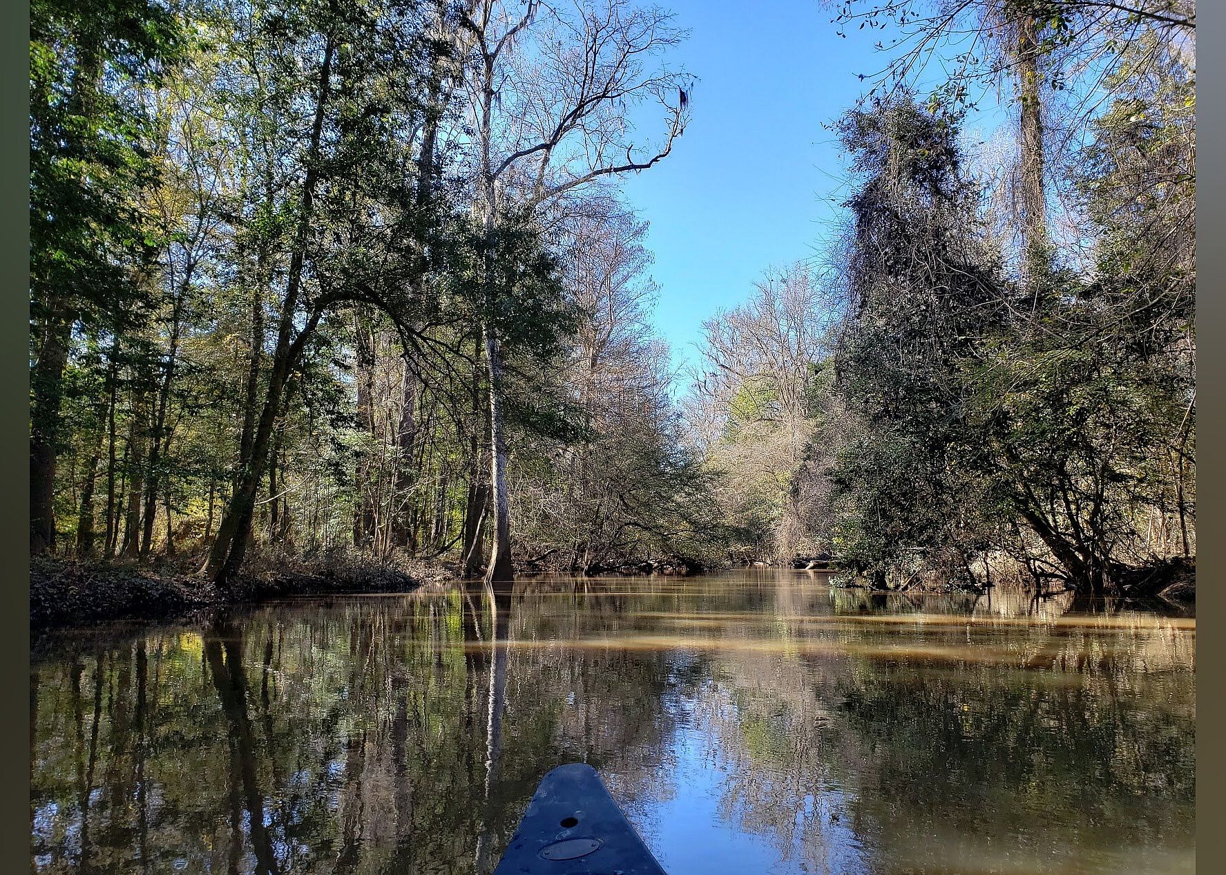 #19. Congaree National Park