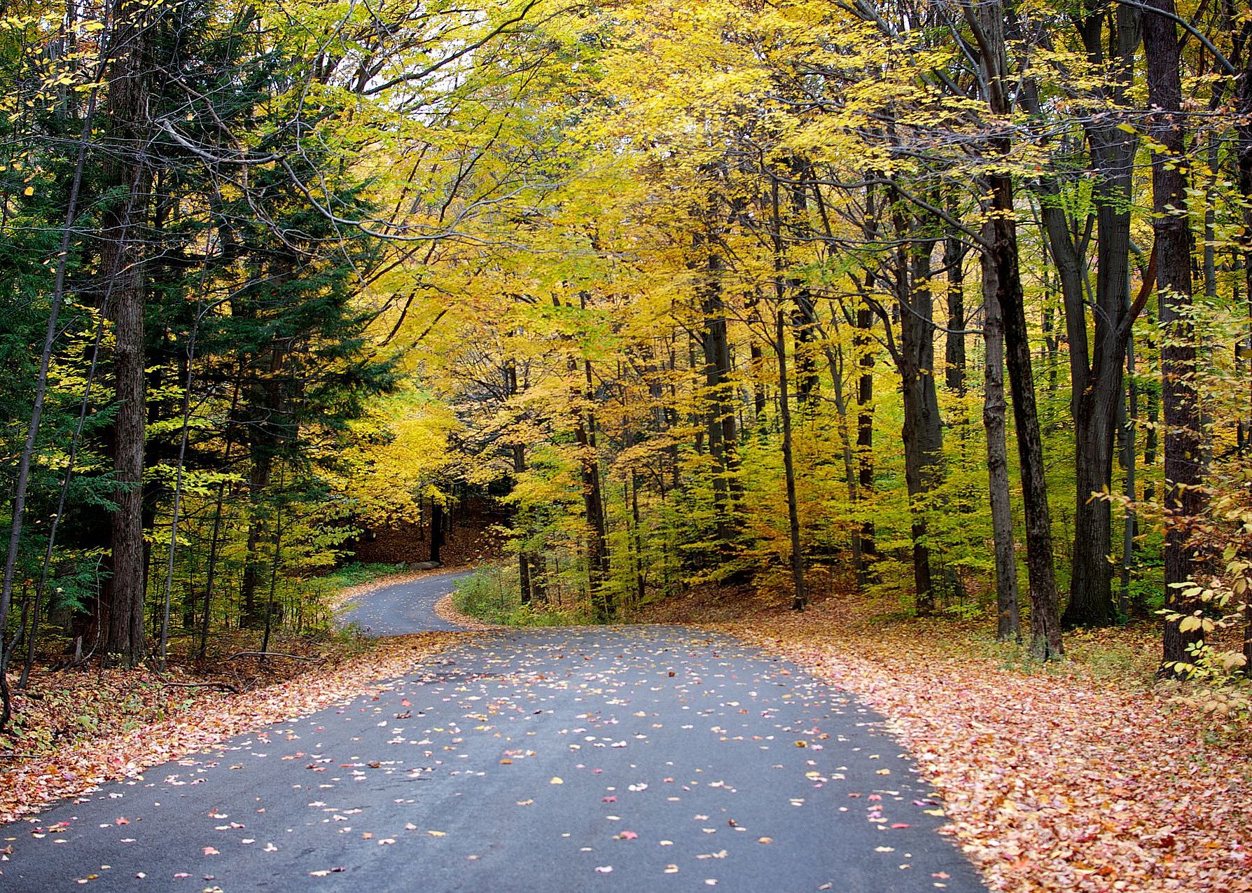 #45. Erie County, New York