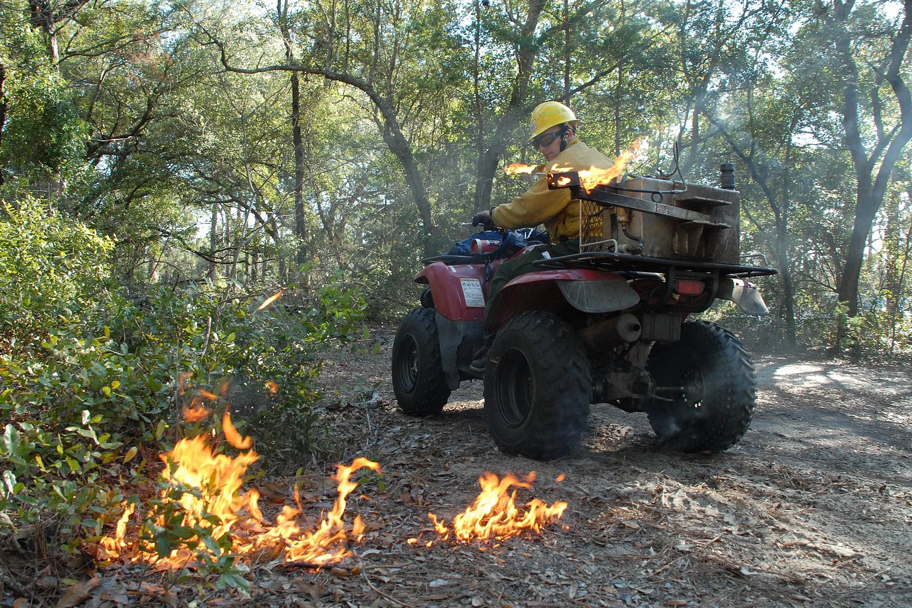#23: Forest fire inspectors and prevention specialists