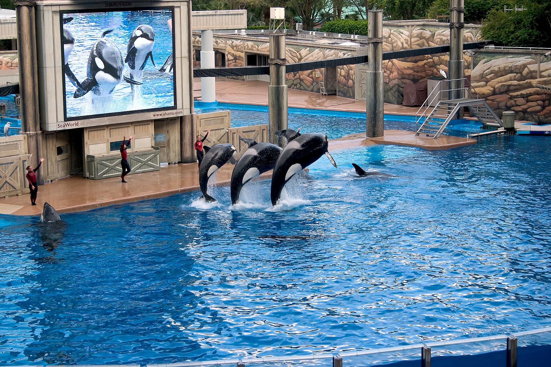 SeaWorld