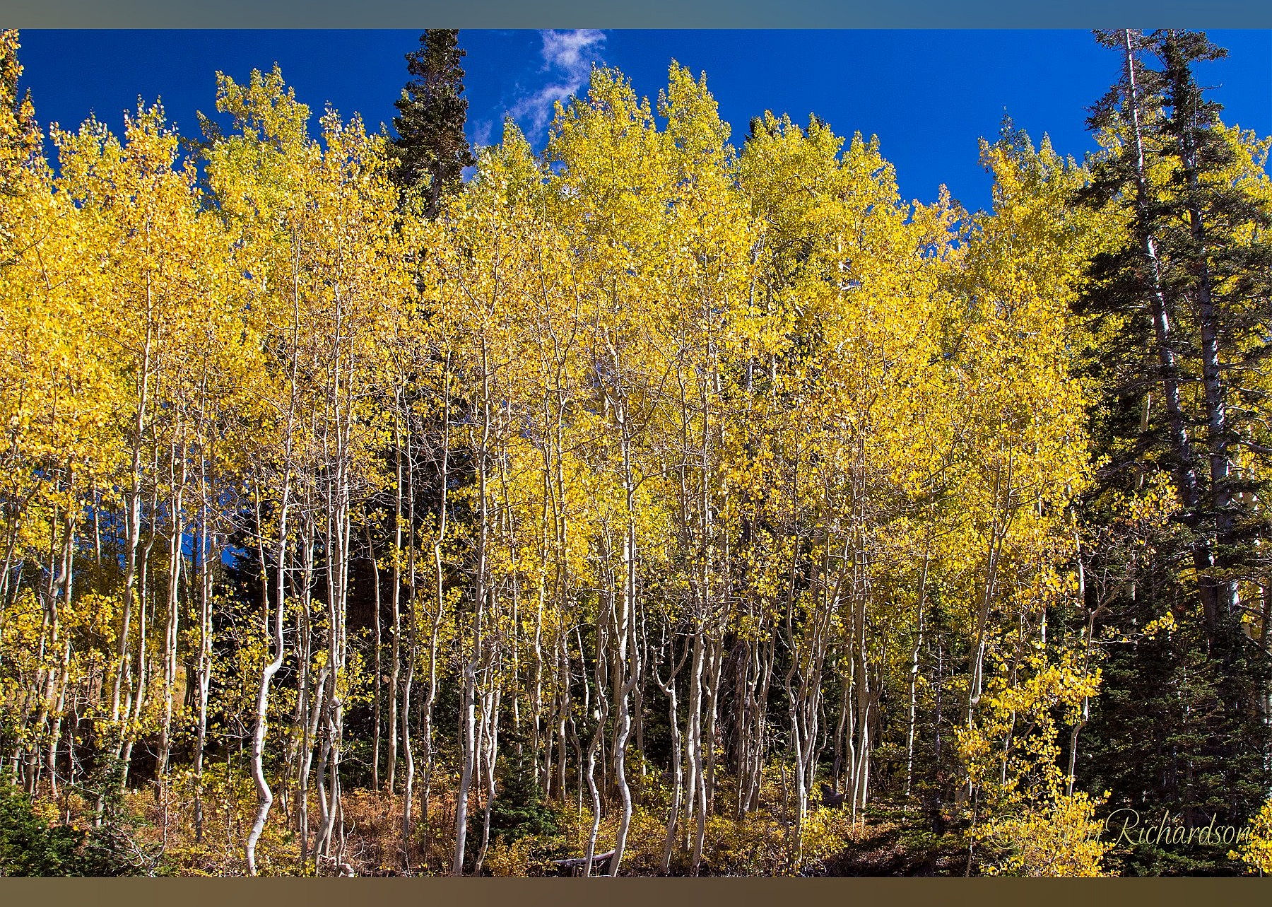 #13. Guardsman Pass Scenic Backway