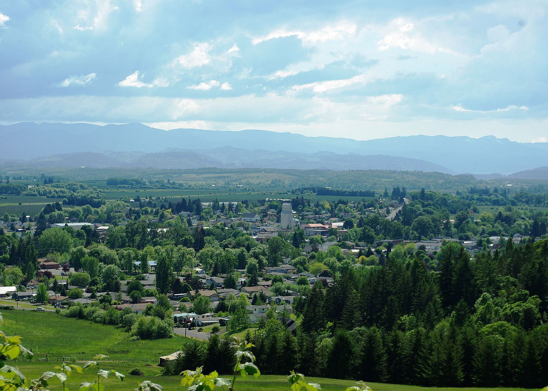 #29. Yamhill County