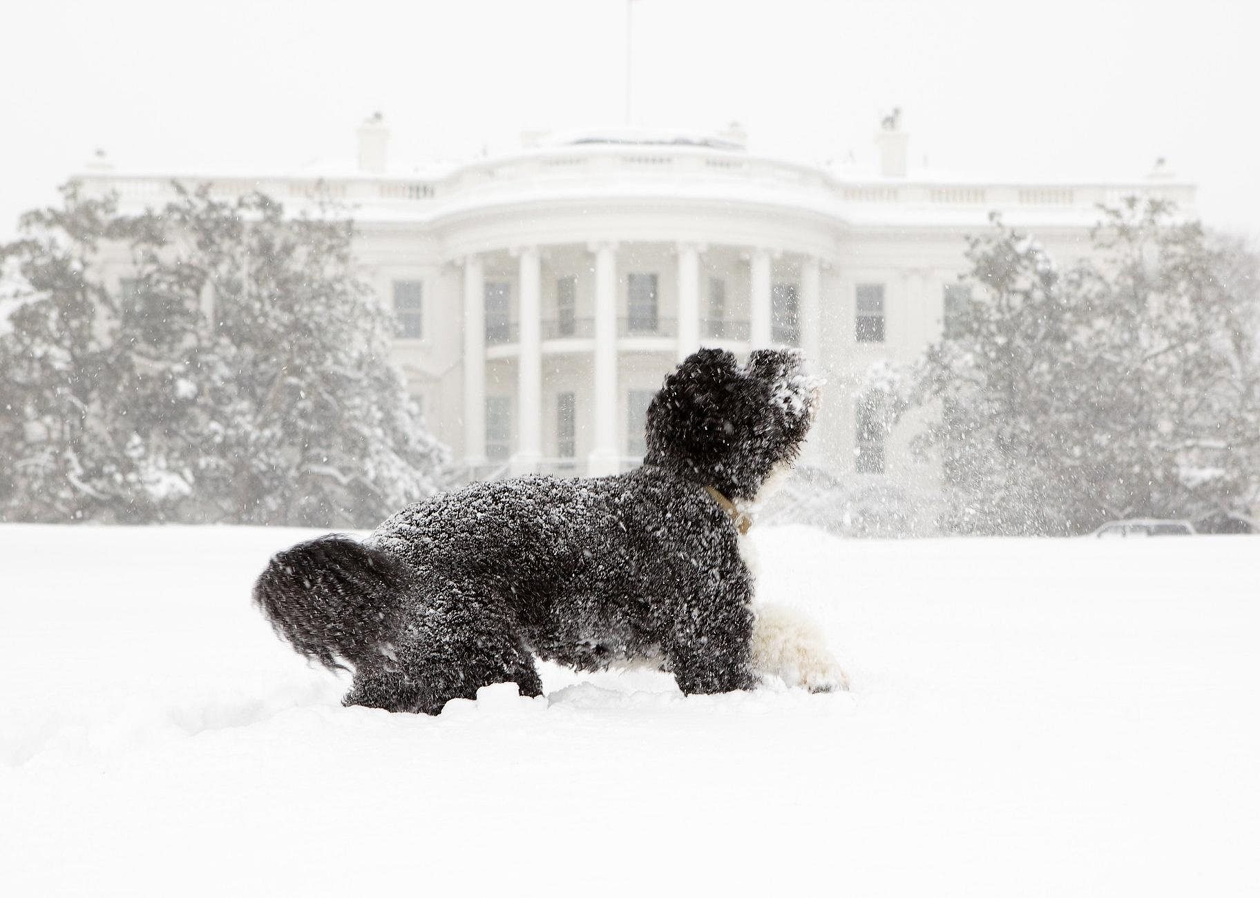 #77. Washington D.C.