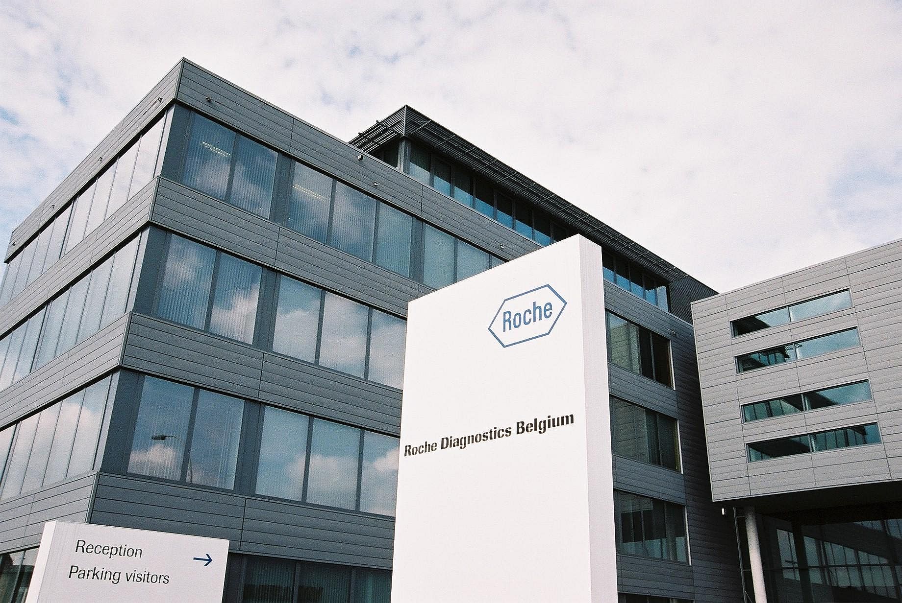 #38. Roche Holding