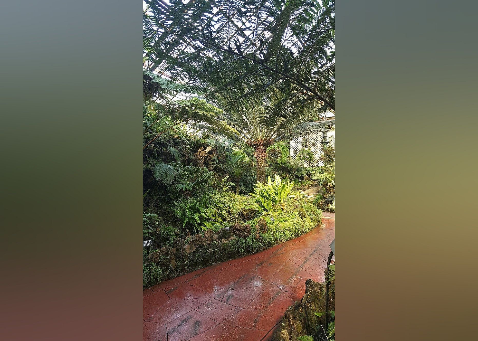#21. Lincoln Park Conservatory
