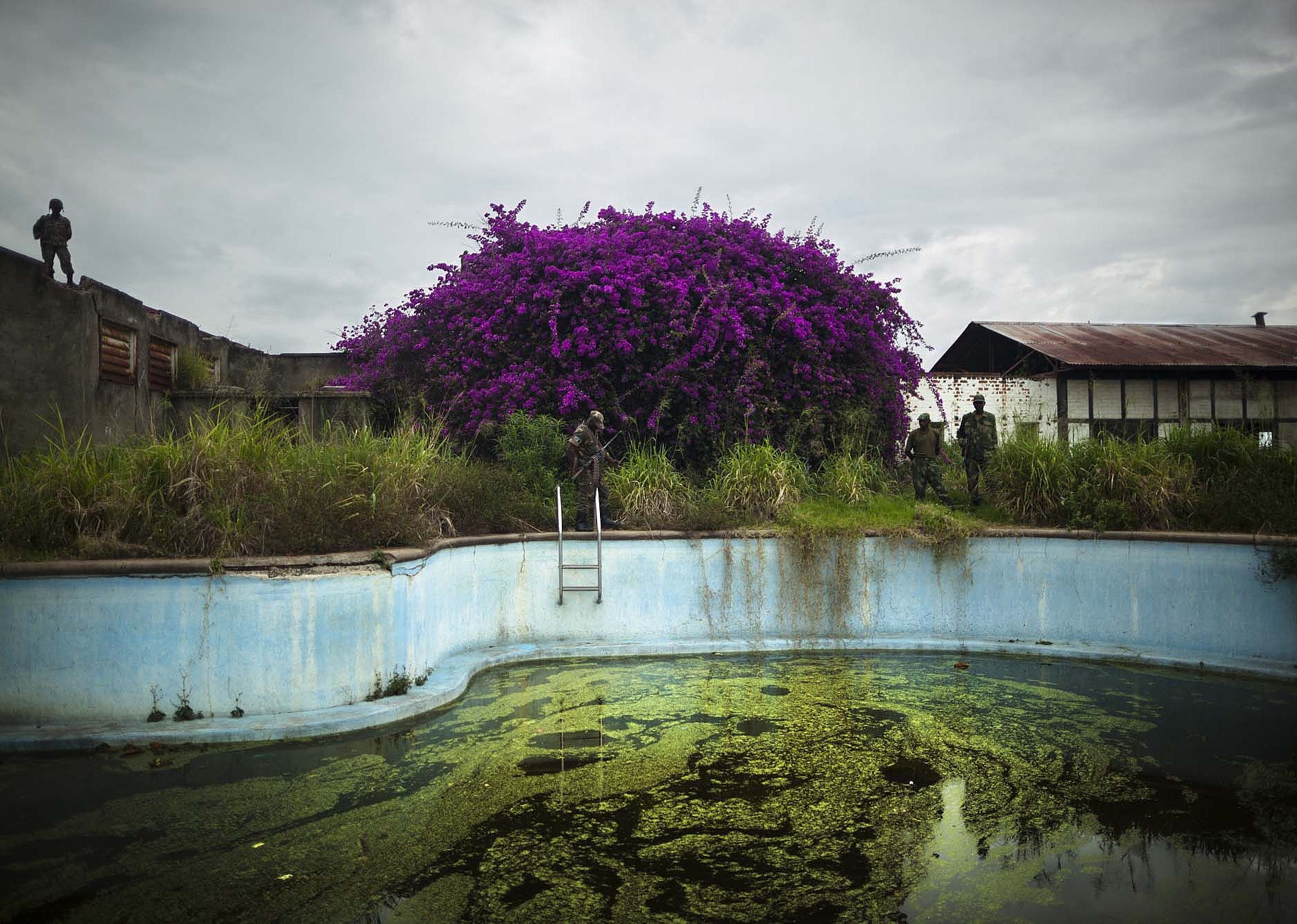 #32. This is Congo (2017)
