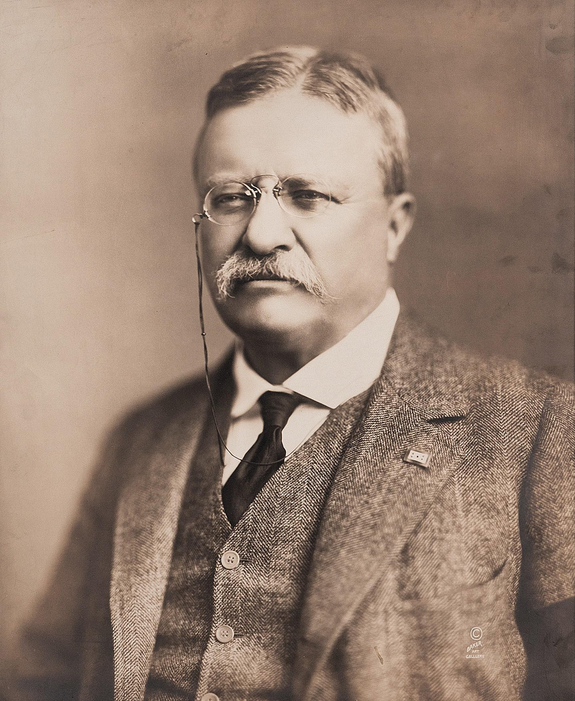#25. 1904 election: Theodore Roosevelt vs. Alton B. Parker