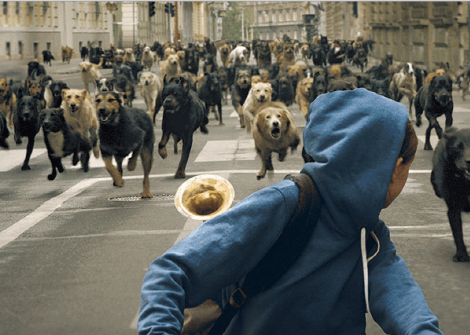 #91. White God (2014)