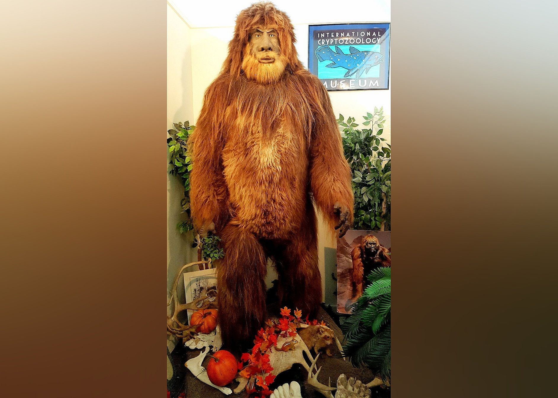 #23. International Cryptozoology Museum