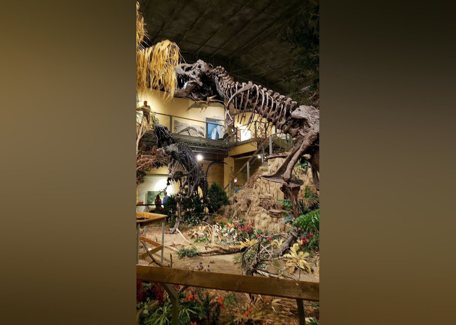 #19. Glendive Dinosaur & Fossil Museum