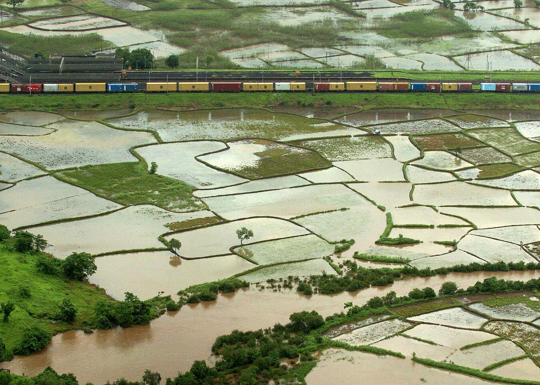 2006: Farmers take issue with the APMC