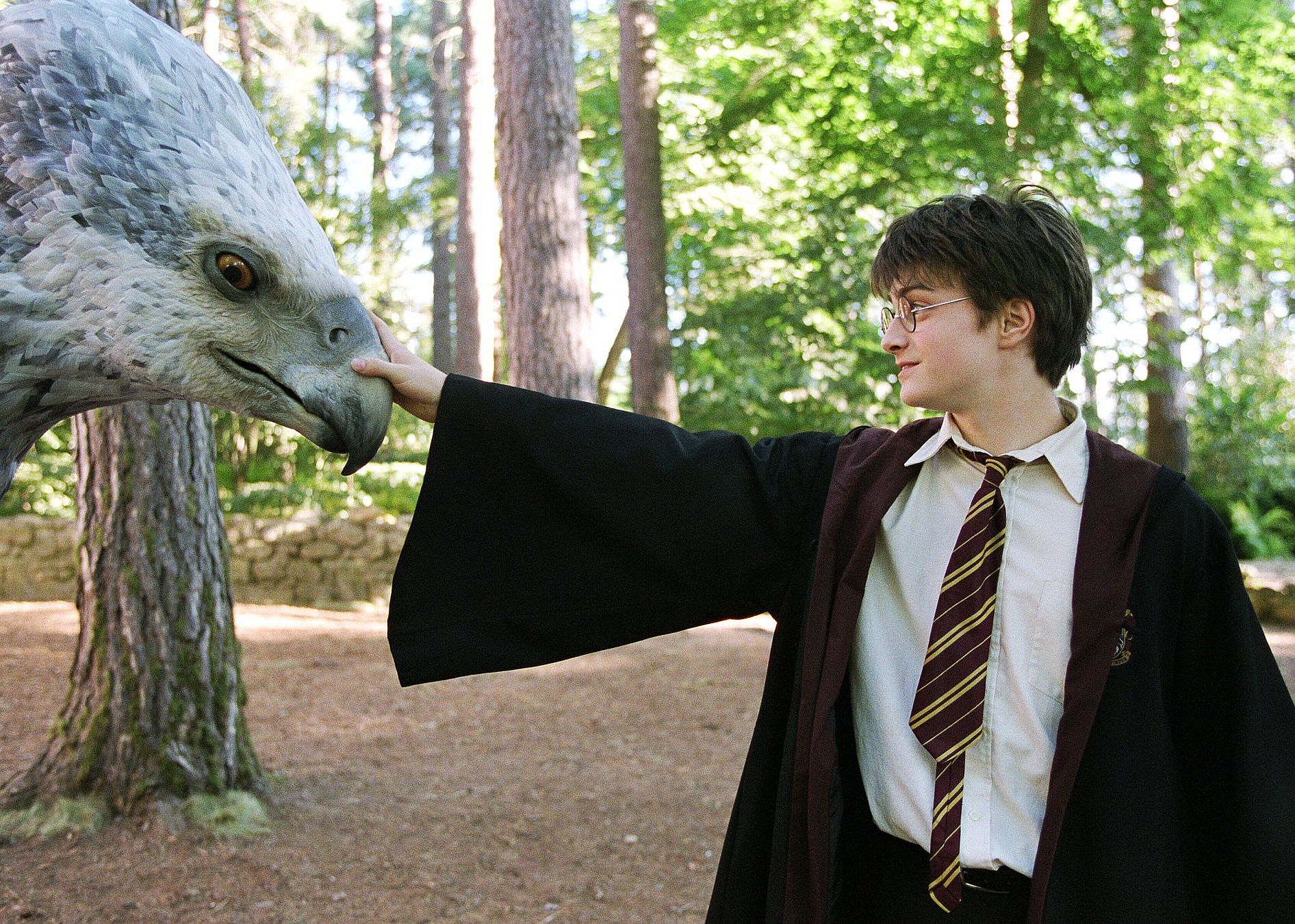 #24. Harry Potter and the Prisoner of Azkaban (2004)